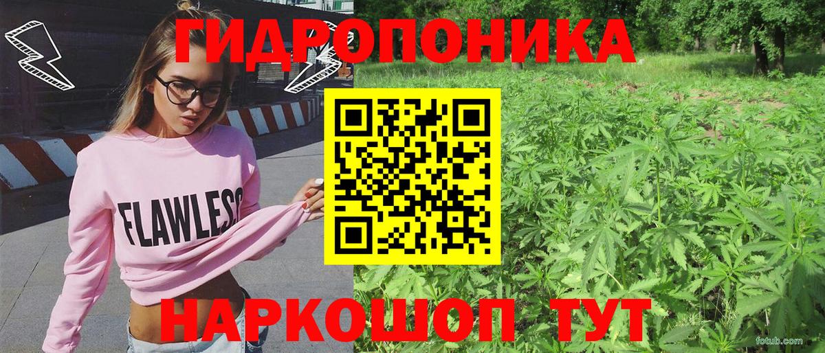 Обнинск  Канабис SATIVA & INDICA  Вход с VPN  Бошки Шишки OG Kush  Бошки Шишки тримм  Марихуана Bruce Banner 